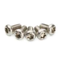 Custom Pan Head T6 T8 Torx Stainless Steel Machine Screw