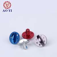 OEM Anti-loose Decorative Head Small Plated Screw for Helmet with Good Service